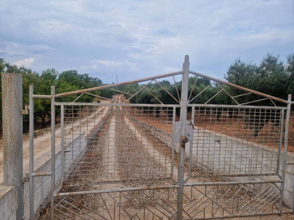 Villa a Ostuni in SP14 - Foto 2