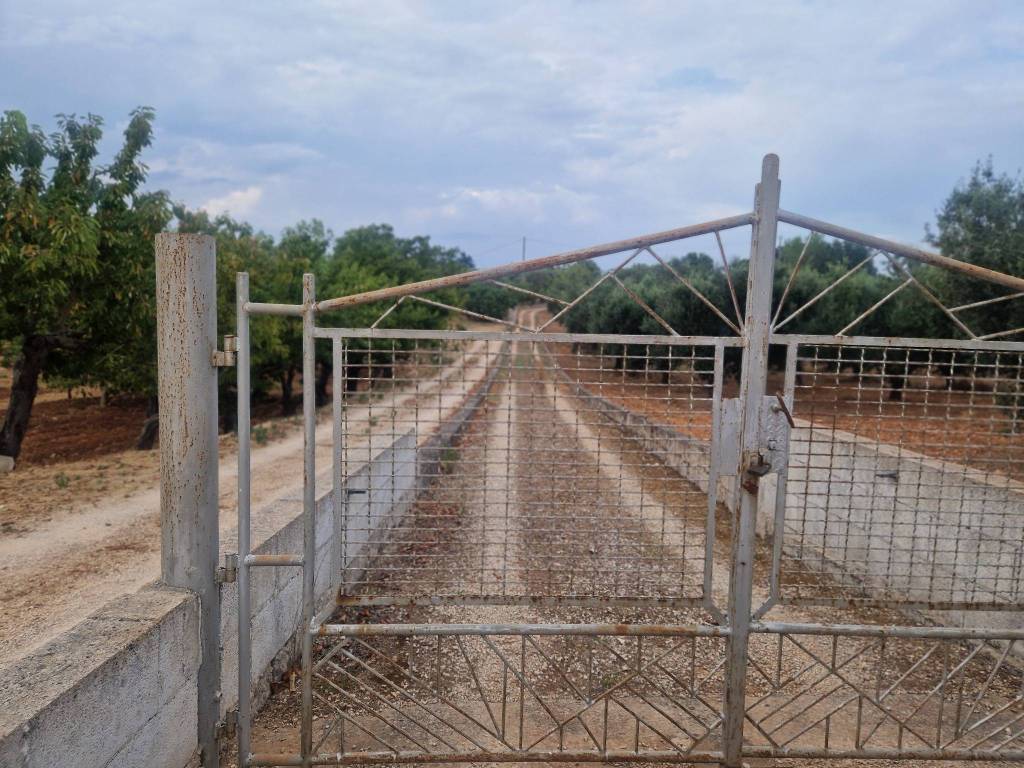 Villa a Ostuni in SP14 - Foto 3