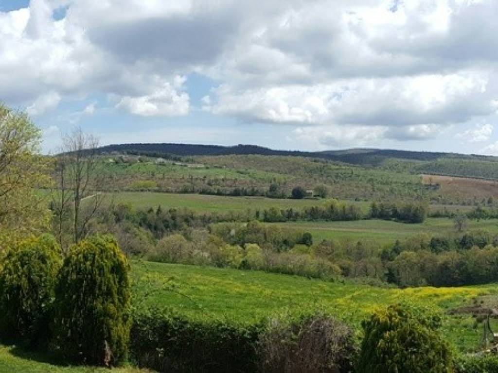 Terreno a Orvieto in Località Torre San Severo - Foto 3
