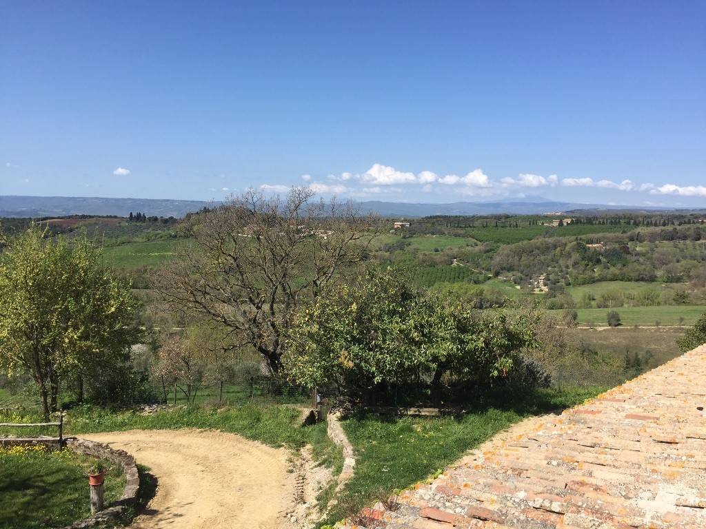 Terreno a Orvieto in Località Torre San Severo - Foto 4