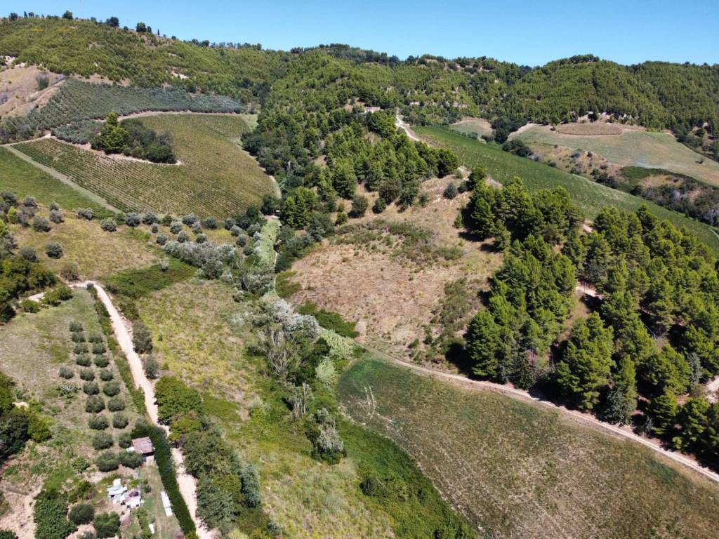 Terreno a Ripatransone in contrada san salvatore - Foto 5