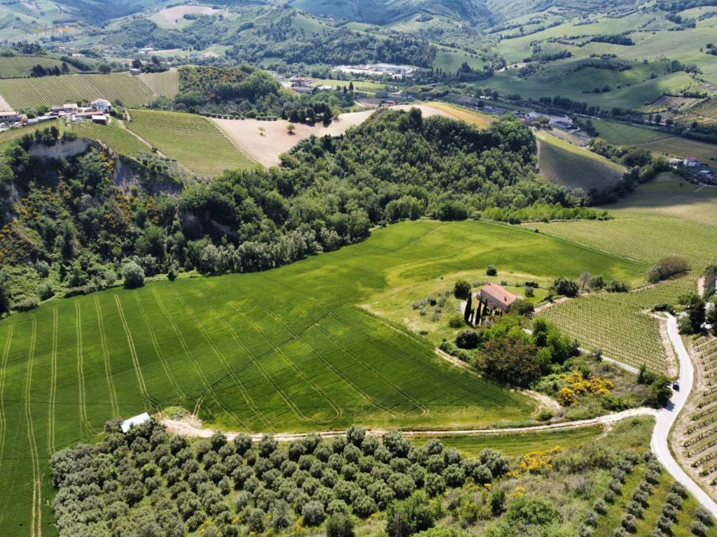 Terreno a Ripatransone in Contrada Pezzalunga - Foto 4