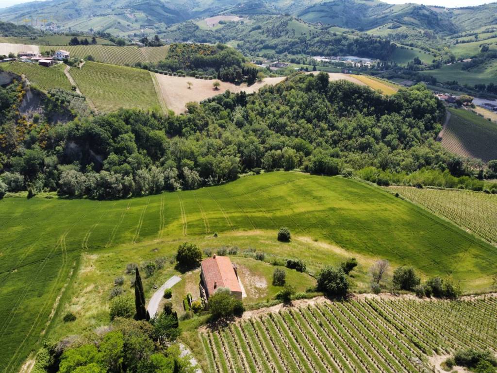Terreno a Ripatransone in Contrada Pezzalunga - Foto 5