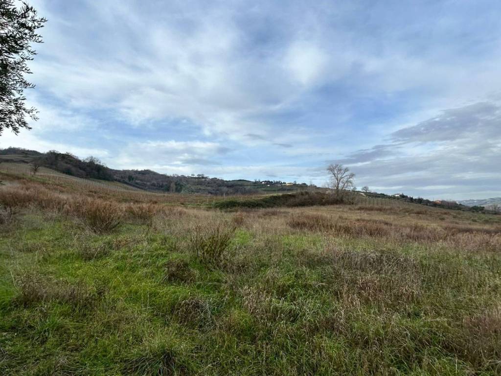 Terreno a Ripatransone in Strada Provinciale 142 - Foto 4