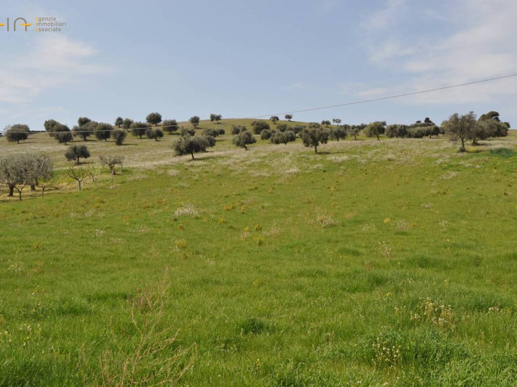 Terreno a San benedetto del tronto - Foto 5