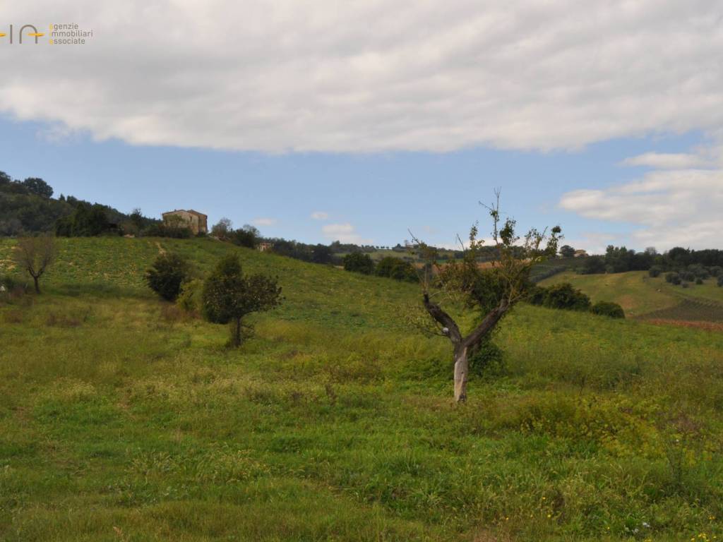 Terreno a Spinetoli - Foto 2