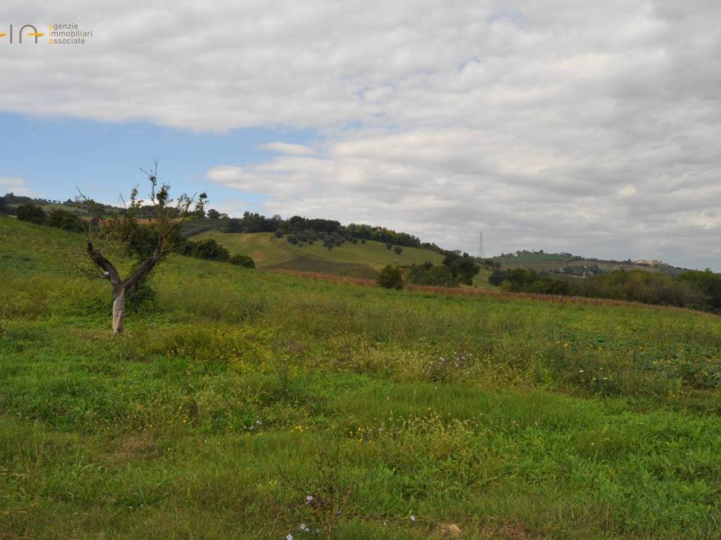 Terreno a Spinetoli - Foto 3