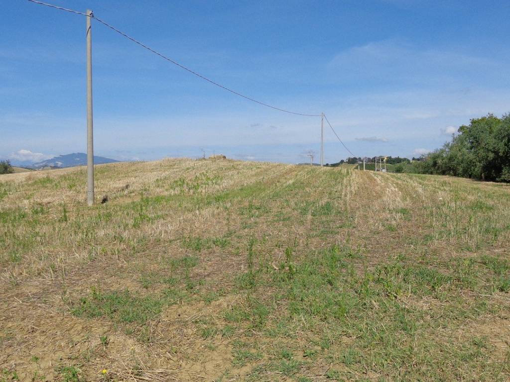 Terreno a Monsampolo del tronto in Contrada Valle Cecchina - Foto 3