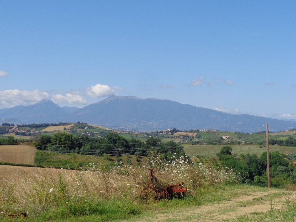 Terreno a Monsampolo del tronto in Contrada Valle Cecchina - Foto 4