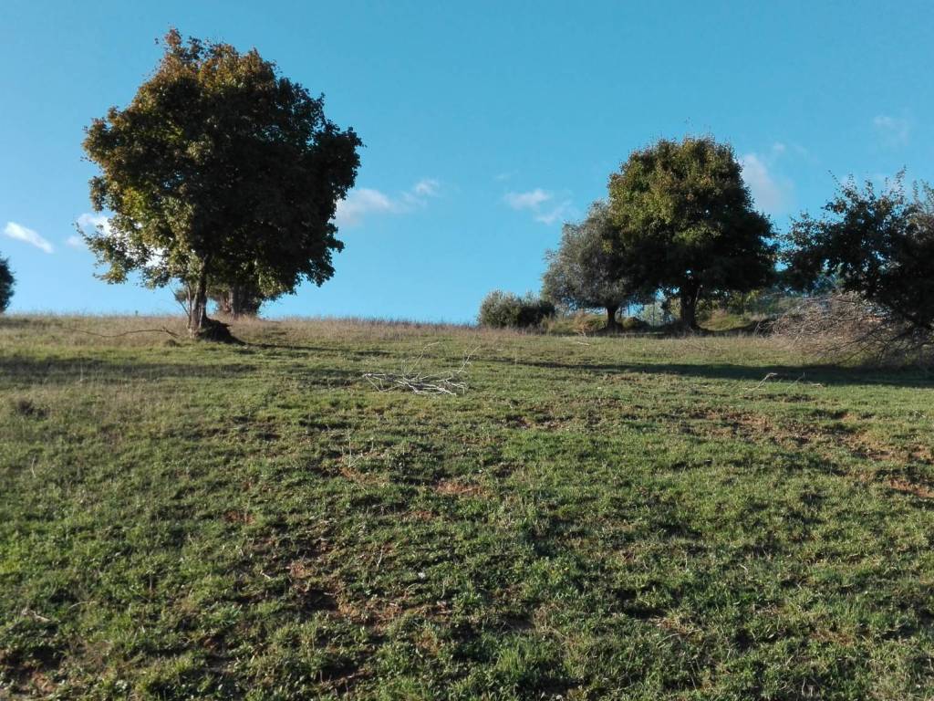 Terreno a Grottammare in Contrada Magazzini - Foto 2