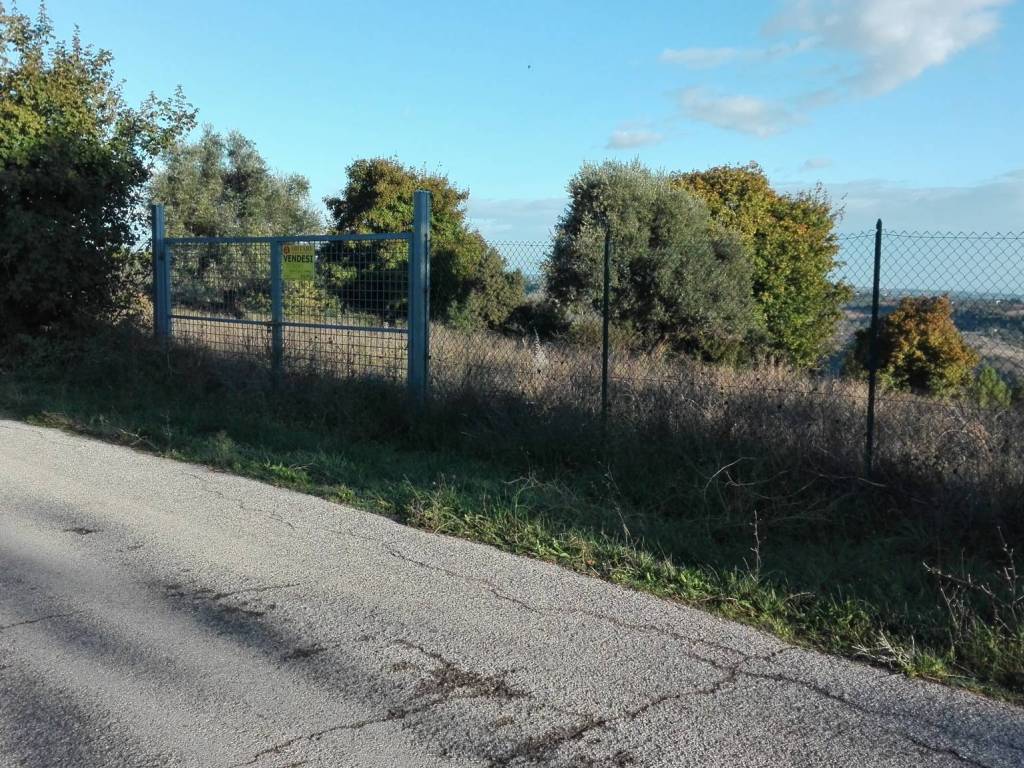 Terreno a Grottammare in Contrada Magazzini - Foto 3