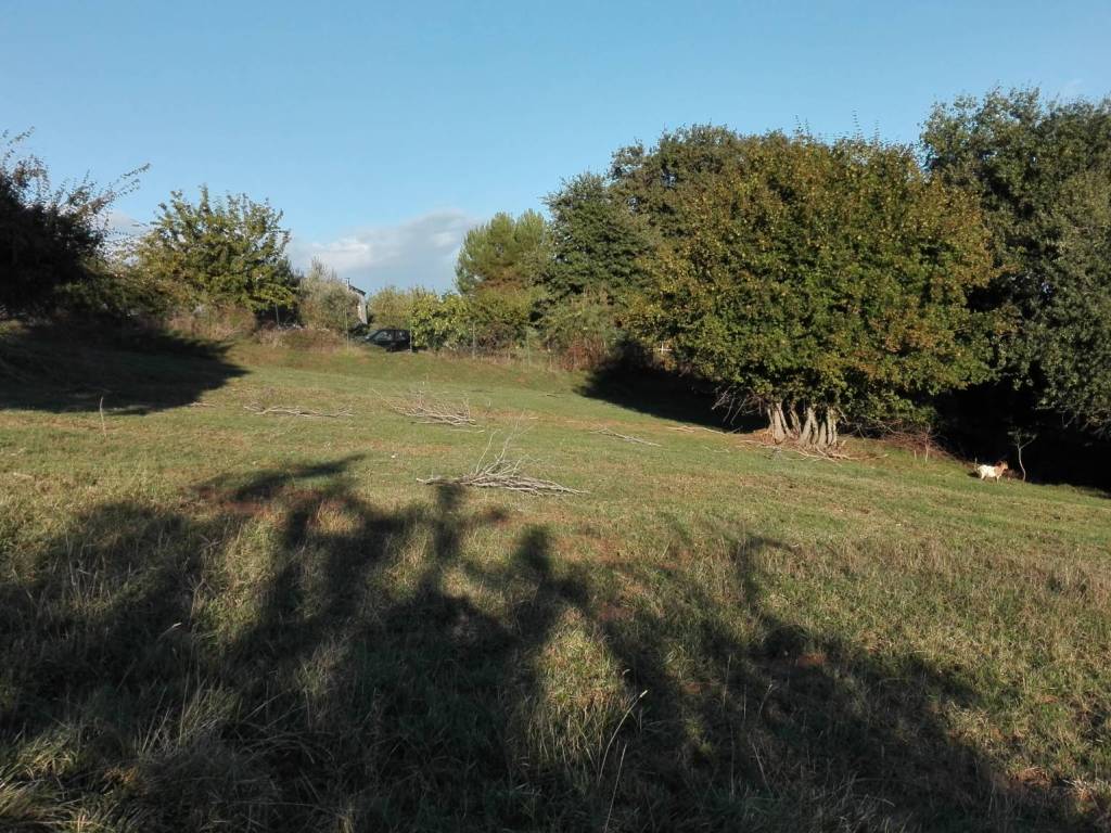 Terreno a Grottammare in Contrada Magazzini - Foto 4