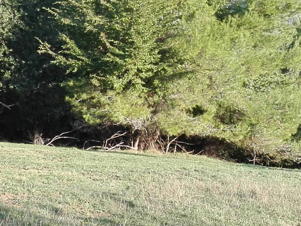 Terreno a Grottammare in Contrada Magazzini - Foto 5