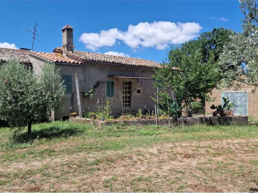 Casa indipendente a Massa martana in Barbasciano, voc. Piemonte - Foto 4