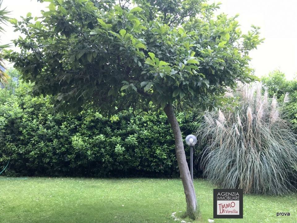 Villa a Massarosa - Foto 3