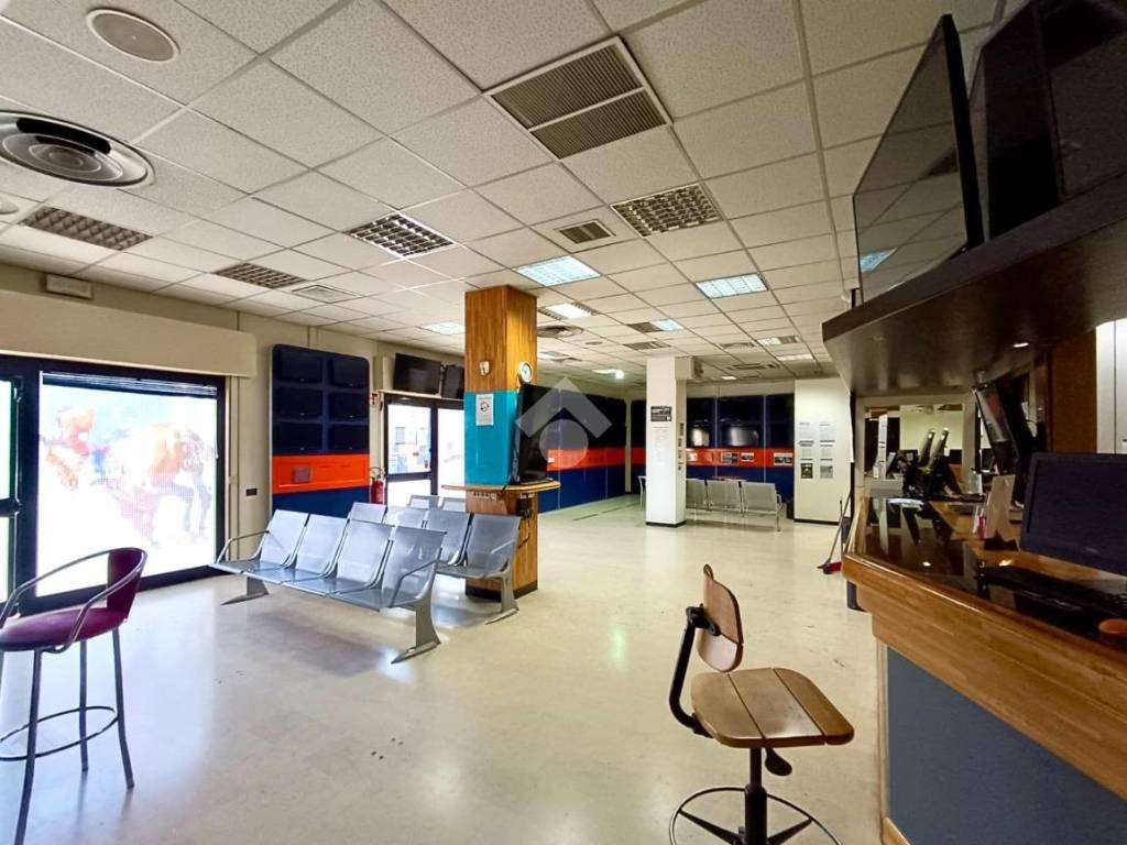 Immobile a Giulianova in Via Galileo Galilei, 263 - Foto 5