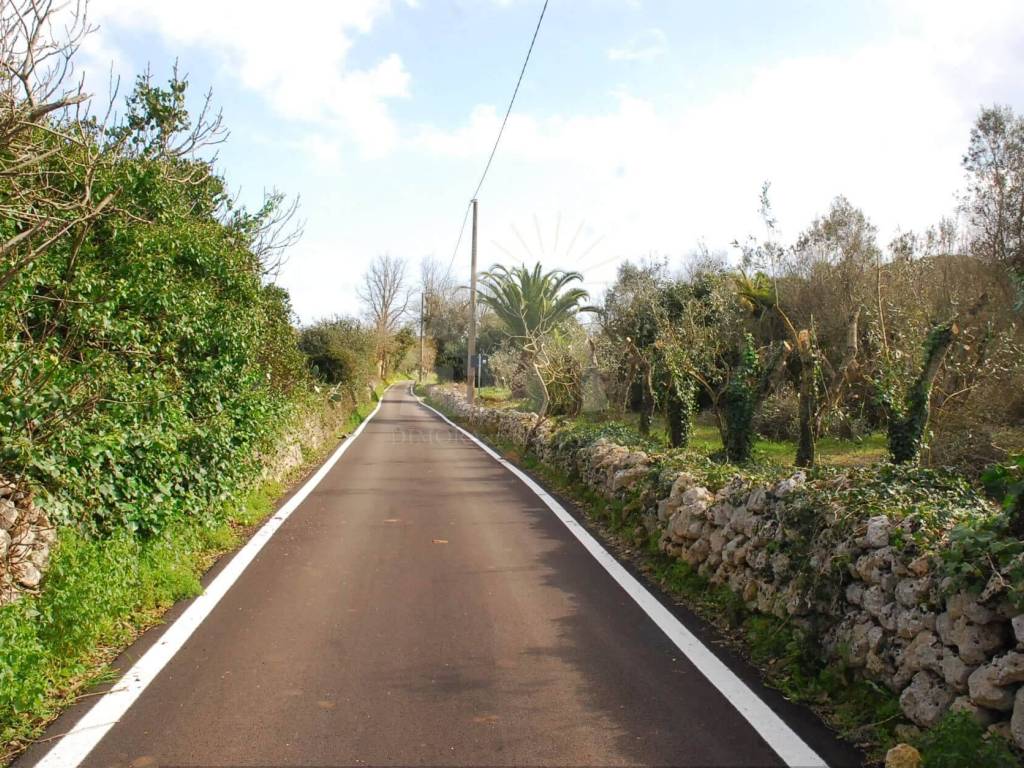 Terreno a Tricase in Strada Vicinale Finocchiaro - Foto 4