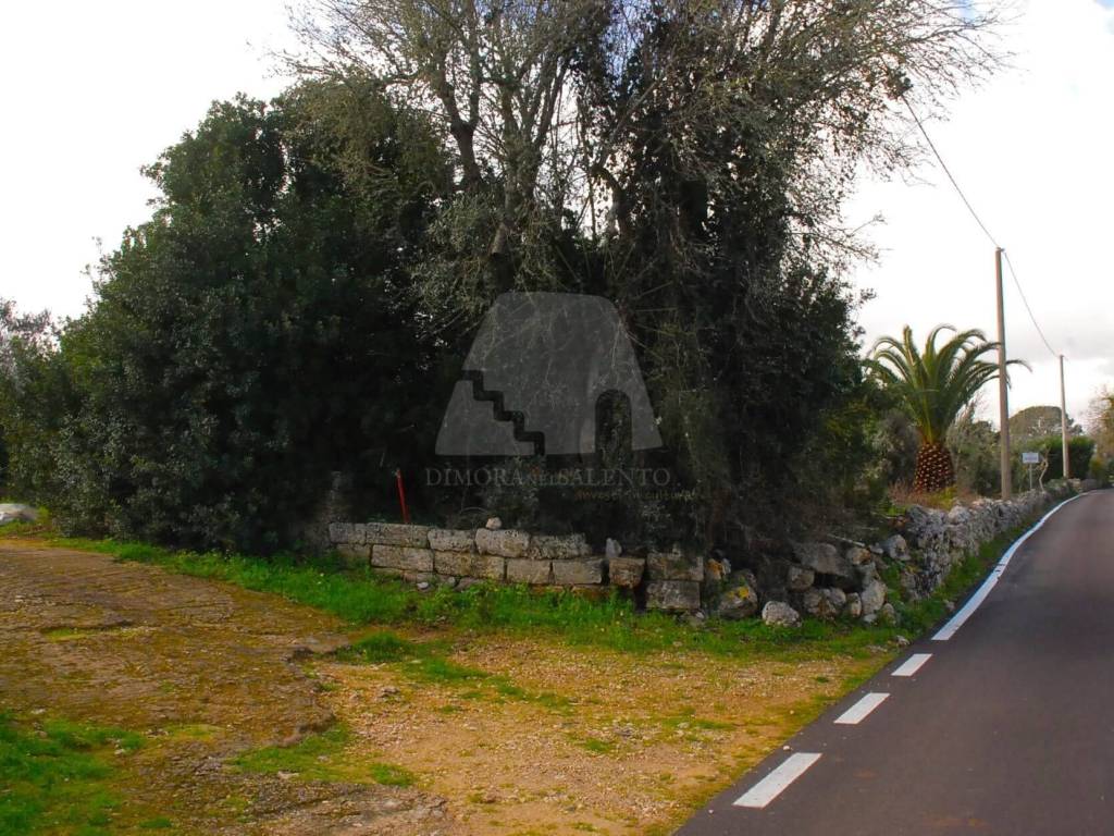 Terreno a Tricase in Strada Vicinale Finocchiaro - Foto 5