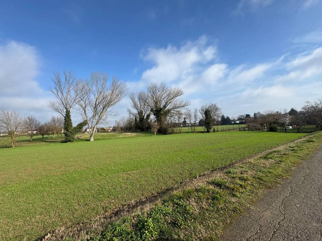 Terreno a Arquà polesine in Via Montolla, 460 - Foto 2