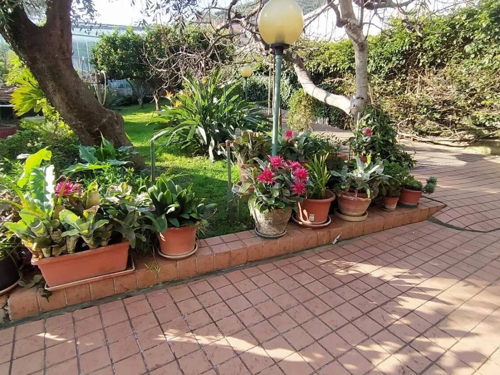 Villa a Taggia - Foto 4