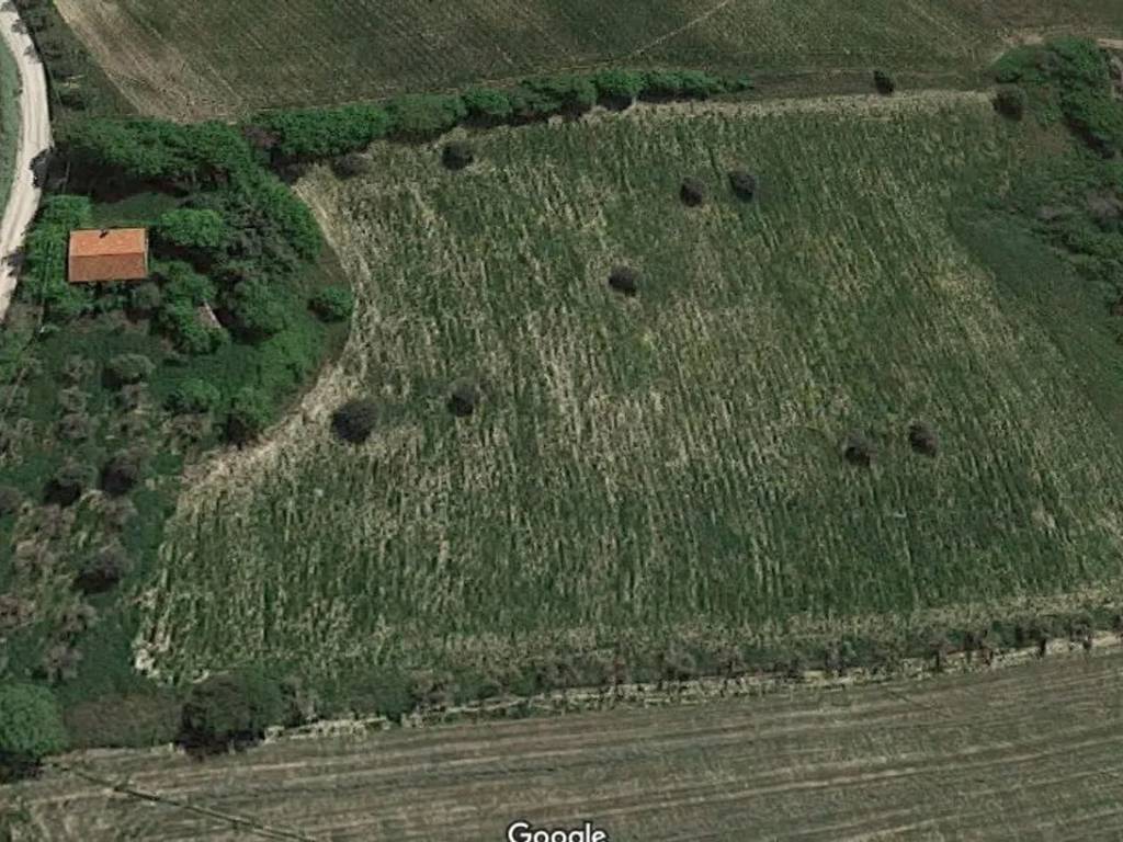 Villa a Ripatransone - Foto 3