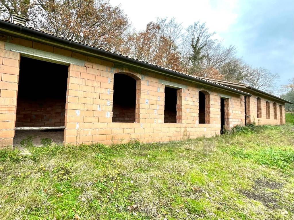 Rustico / casale a Vetralla in Strada Provinciale Blerana - Foto 2