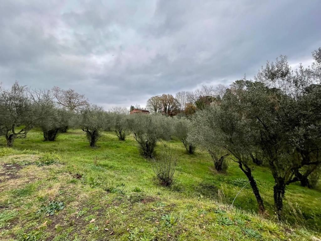 Rustico / casale a Vetralla in Strada Provinciale Blerana - Foto 3