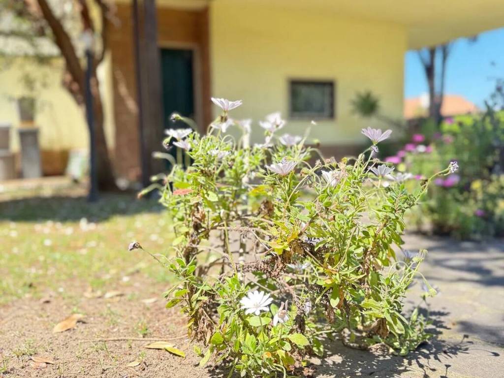 Villa a Anzio in Via Maia - Foto 2