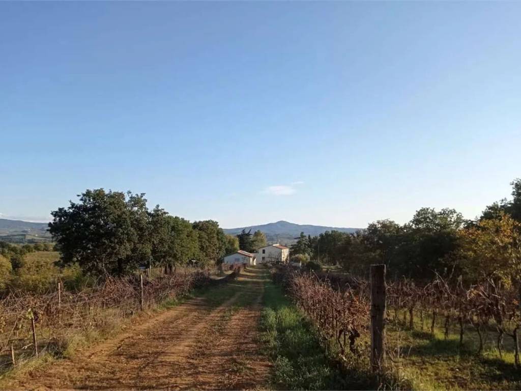 Rustico / casale a Campagnatico in Strada Della Voltina, 20 - Foto 2
