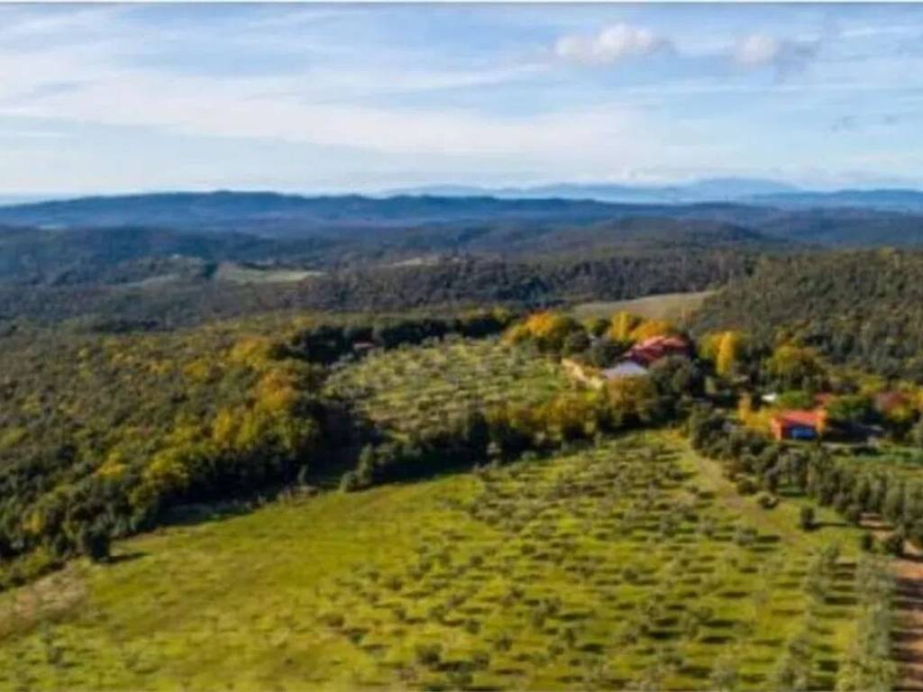Rustico / casale a Massa marittima in Strada Senza Nome - Foto 4