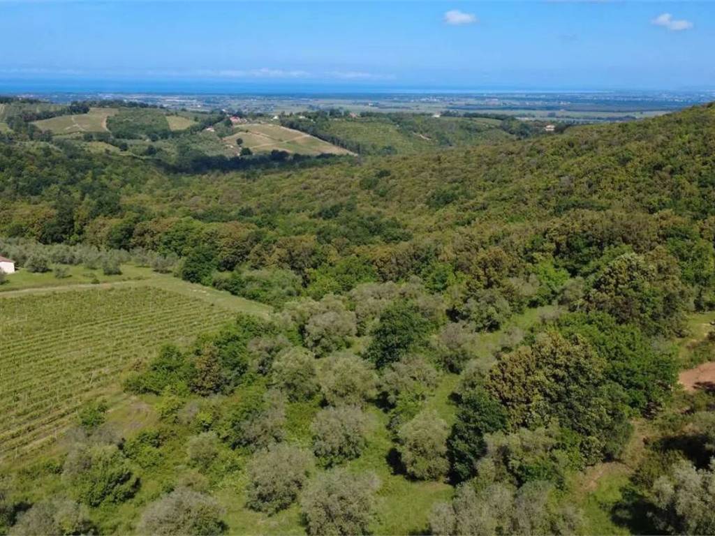 Rustico / casale a Castagneto carducci in Strada Provinciale - Foto 2