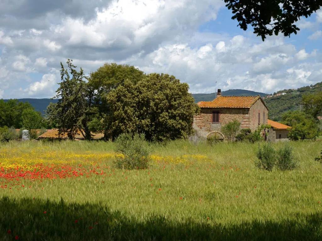 Rustico / casale a Massa marittima in Campagna Circostante No Number - Foto 5
