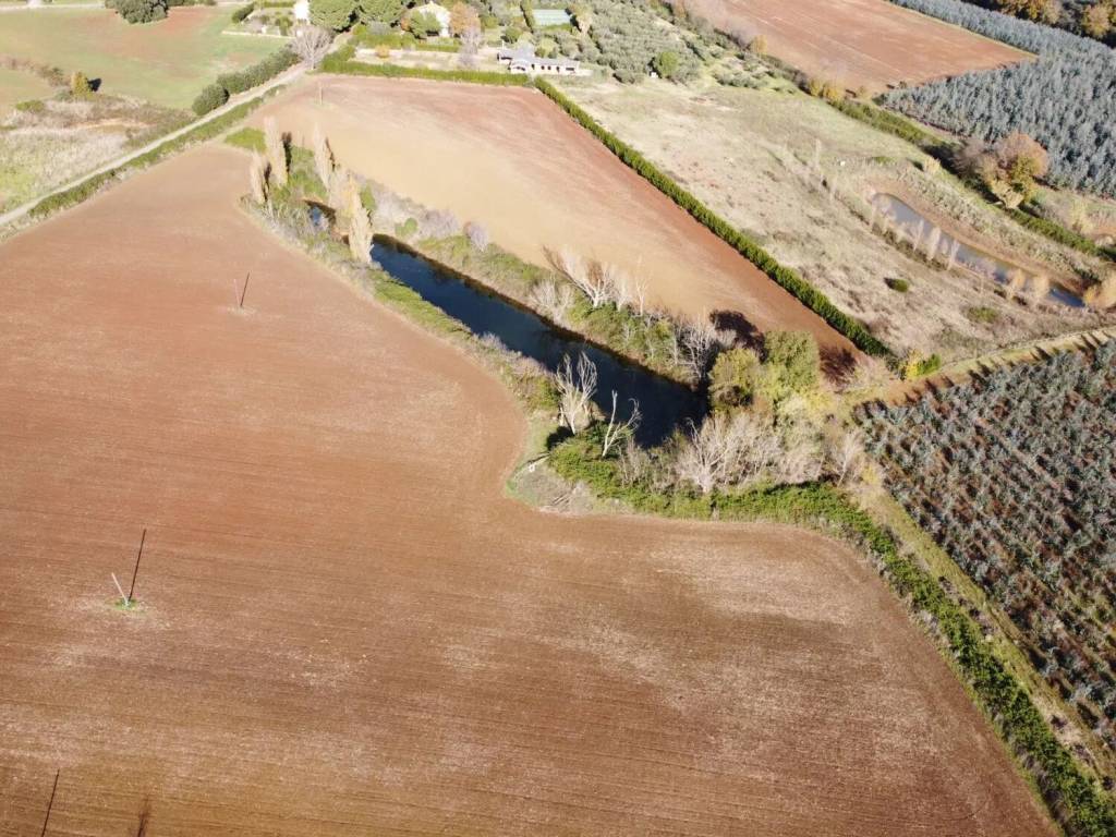 Terreno a Capalbio in Strada Poggio Pelato, 19 - Foto 3