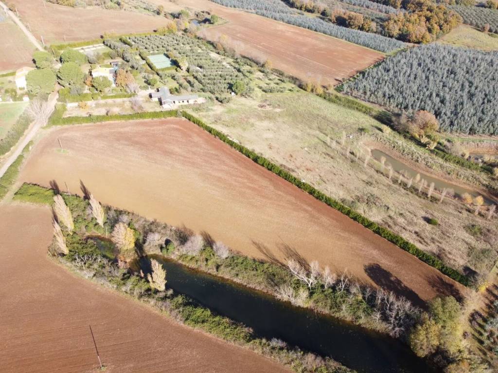 Terreno a Capalbio in Strada Poggio Pelato, 19 - Foto 4