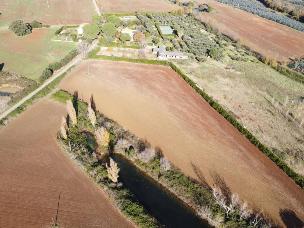 Terreno a Capalbio in Strada Poggio Pelato, 19 - Foto 5