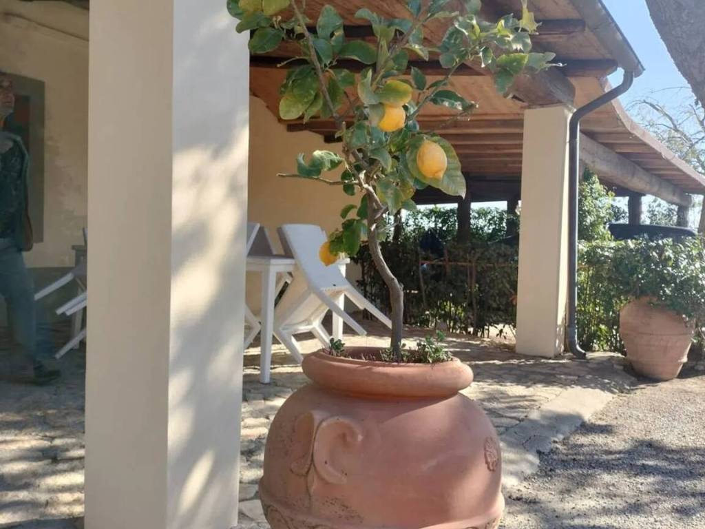 Villa a Capalbio in Strada Poggio Pelato - Foto 4