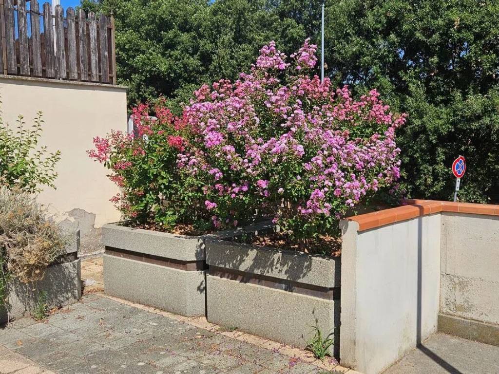Appartamento a Montalto di castro in Via Ligure, 2 - Foto 3