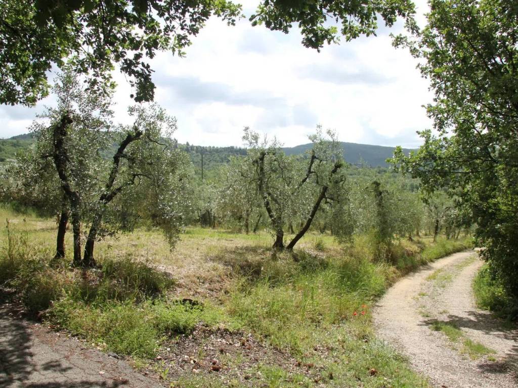 Terreno a Arezzo in Località Chiassa Vecchia, 45 - Foto 2