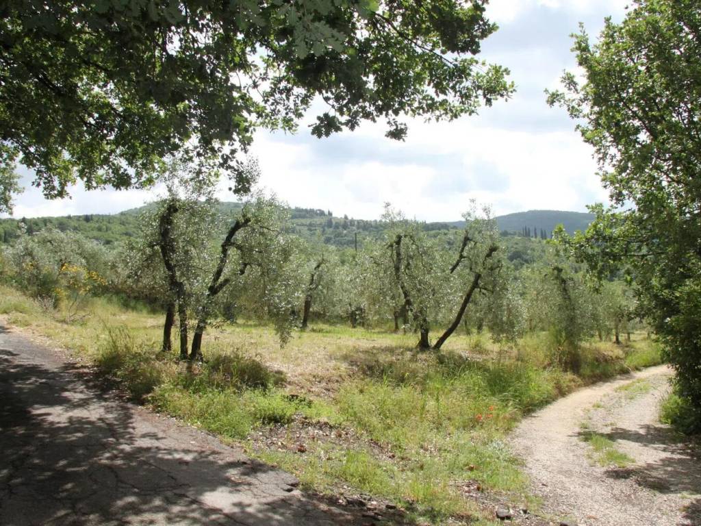 Terreno a Arezzo in Località Chiassa Vecchia, 45 - Foto 3