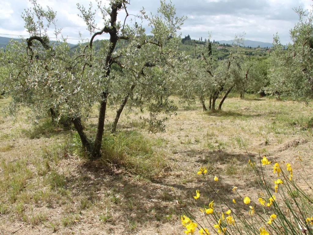 Terreno a Arezzo in Località Chiassa Vecchia, 45 - Foto 4