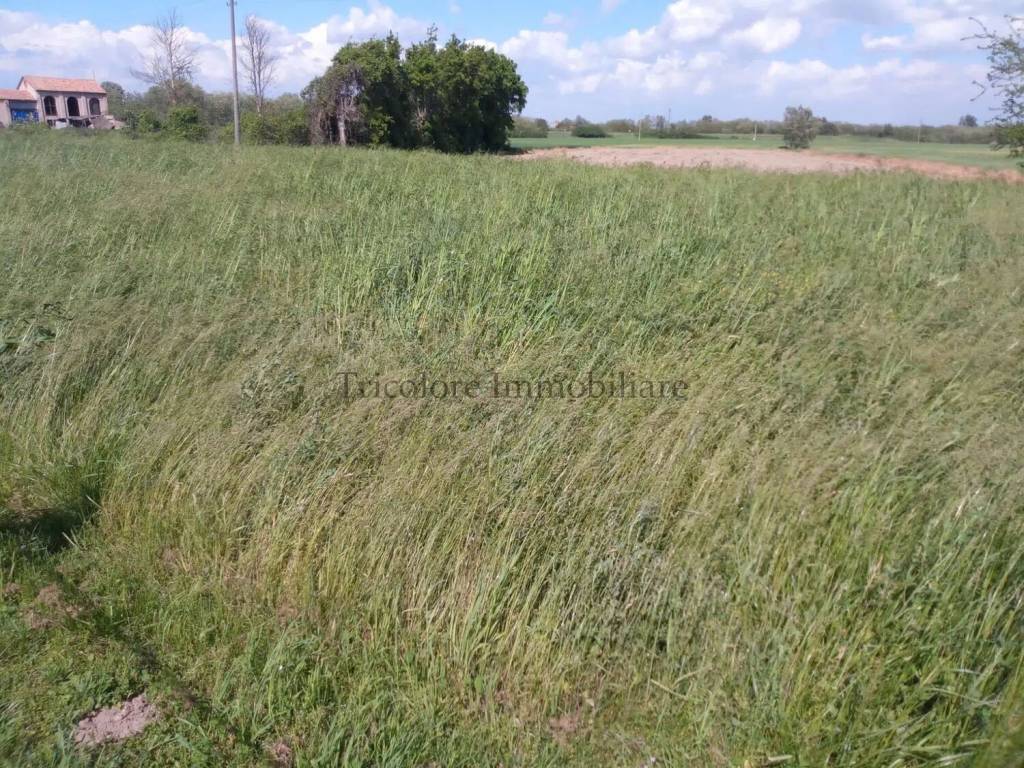 Villa a Polesella in Via Lombardi, 322 - Foto 3