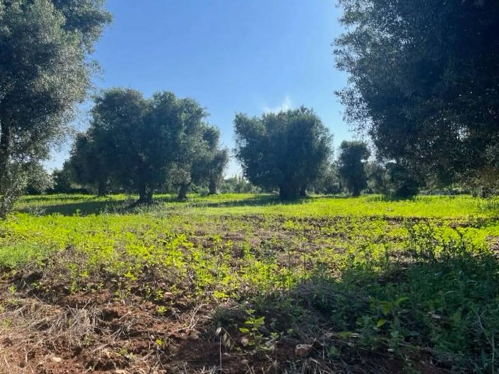 Terreno a Carovigno in Via Serranova No Number - Foto 3