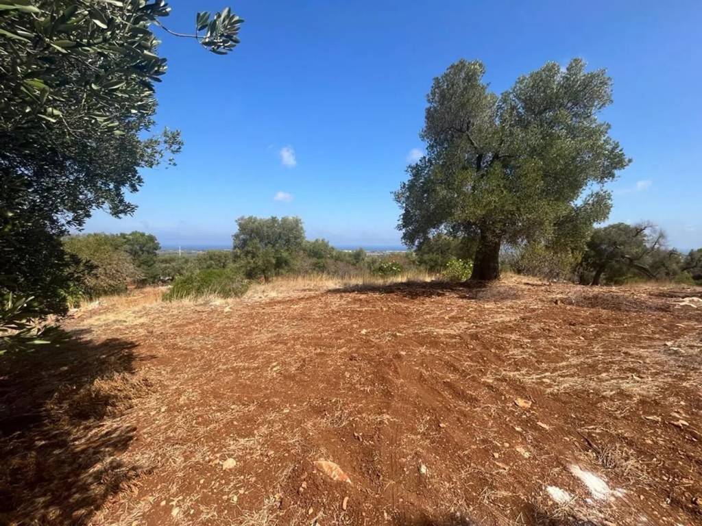 Terreno a Carovigno in Contrada Monti No Number - Foto 4