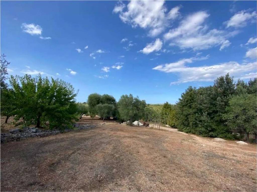 Terreno a Ostuni in Contrada Pascarosa - Foto 2