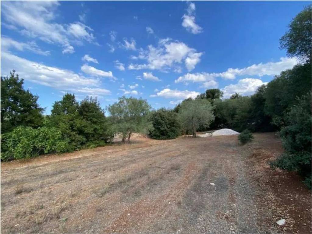 Terreno a Ostuni in Contrada Pascarosa - Foto 3