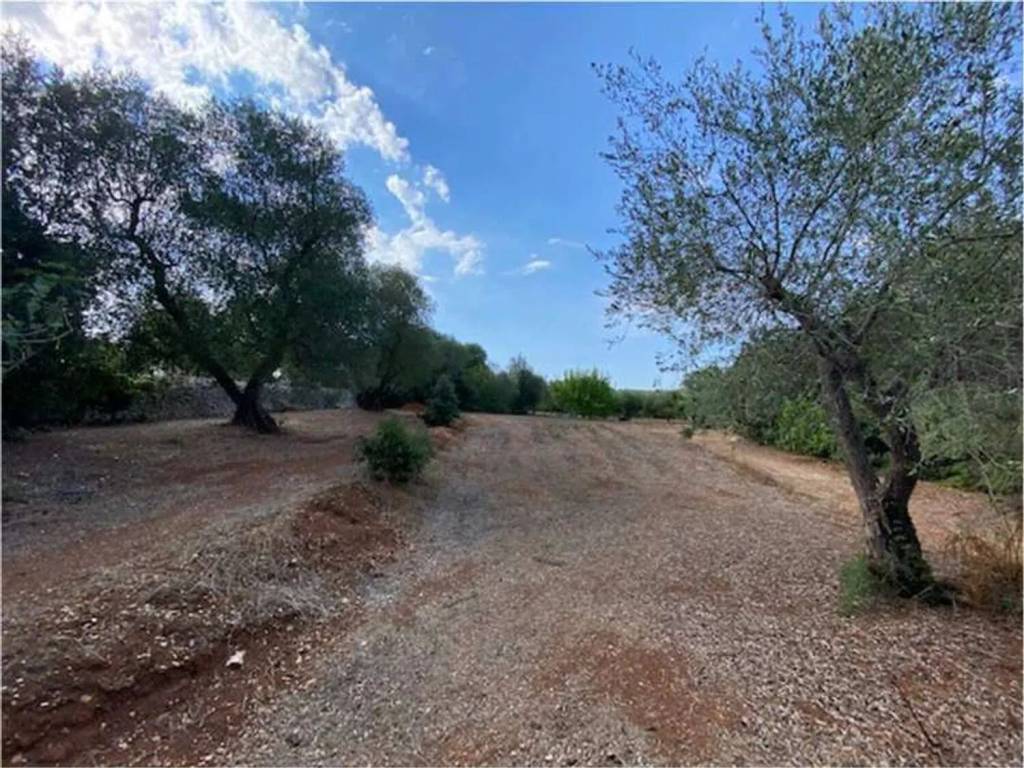 Terreno a Ostuni in Contrada Pascarosa - Foto 4