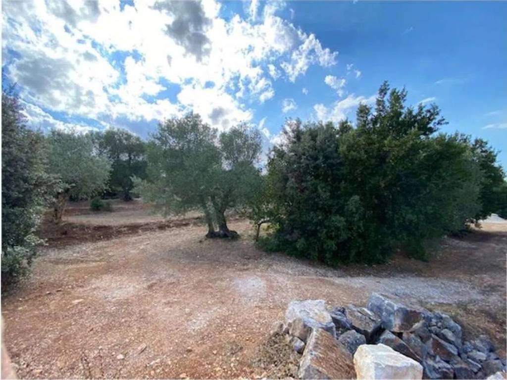 Terreno a Ostuni in Contrada Pascarosa - Foto 5