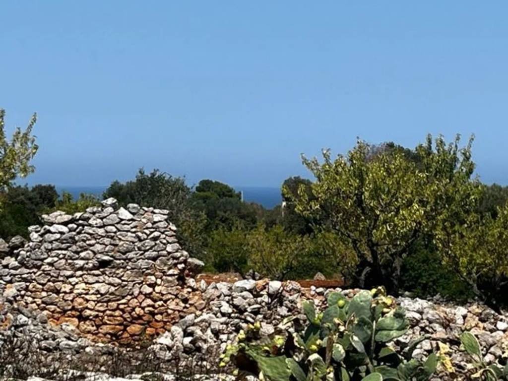 Rustico / casale a Carovigno in Contrada Cento Pezze - Foto 2