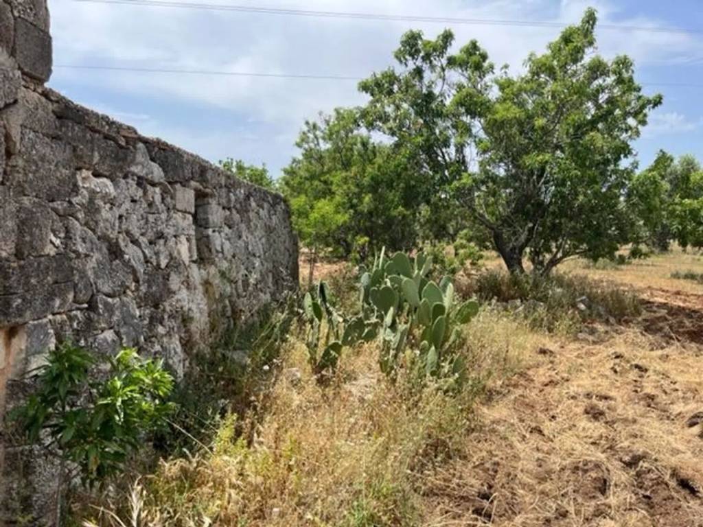 Rustico / casale a Carovigno in Contrada Sperti No Number - Foto 4