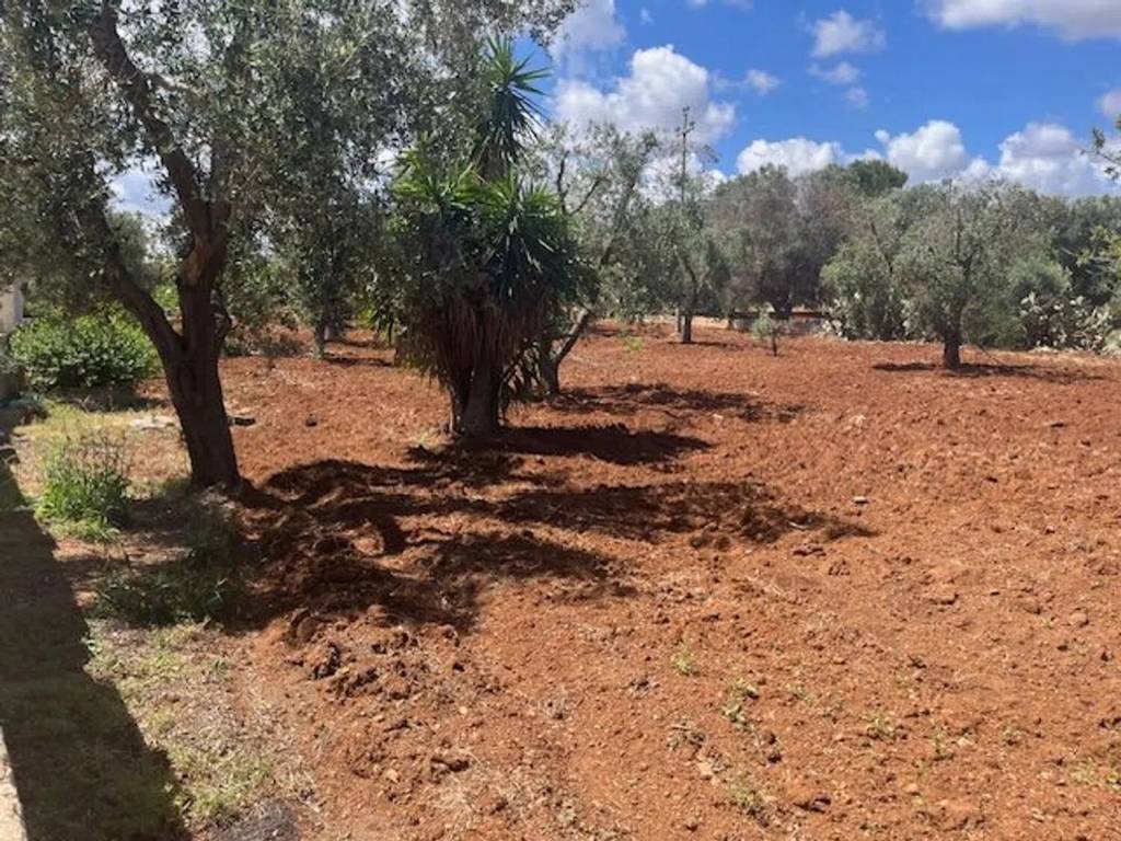 Villa a Carovigno in Contrada Arrighi - Foto 2